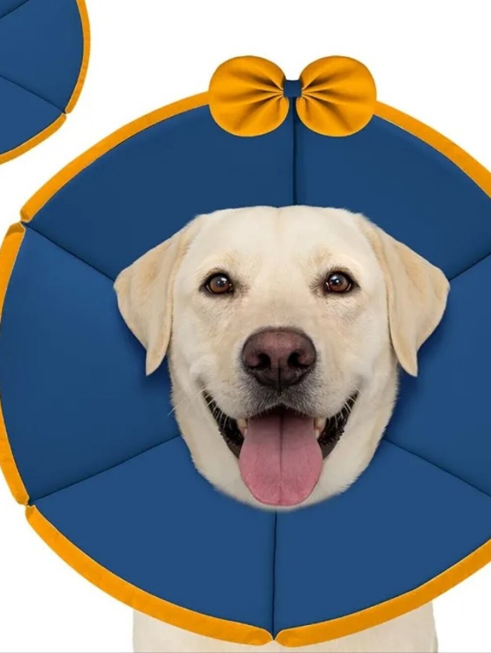 Blue & Yellow Dog Recovery Collar, Comfortable Non-Inflatable Protective Cone